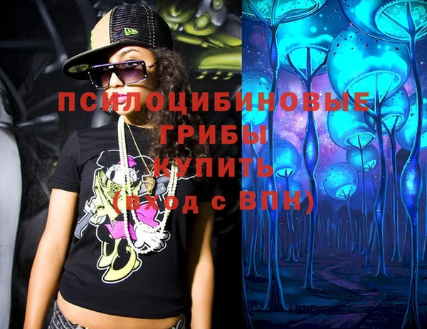дурь Лагань