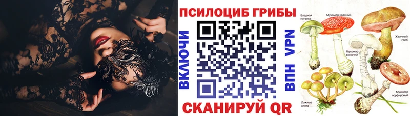 Псилоцибиновые грибы прущие грибы  где купить наркоту  мега онион  Чердынь 